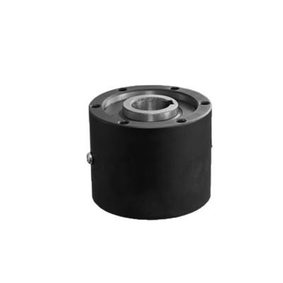 주문 위기를 운영하는 것의 위에 BS160HS BS220HS 고토크 단방향 클러치 컨베이어 롤러 online manufacture